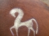 Wodehouse Stud pony artwork