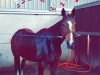 Mini Me under the solarium
