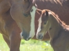 Mother and daughter