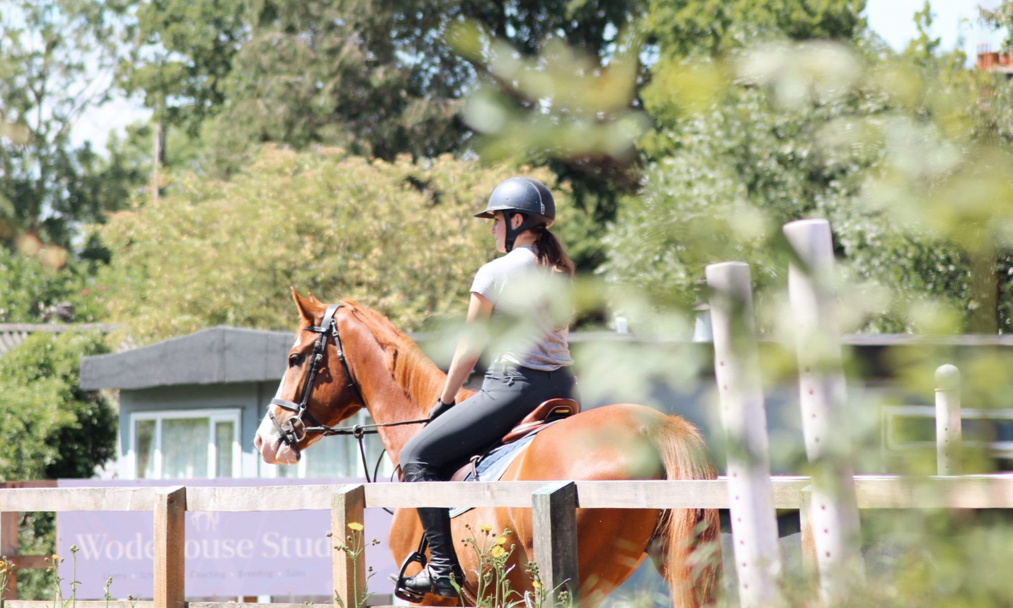 Wodehouse Stud and Equestrian Centre